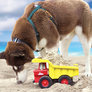 Big Dig Dump Truck on the beach with a Siberian Husky